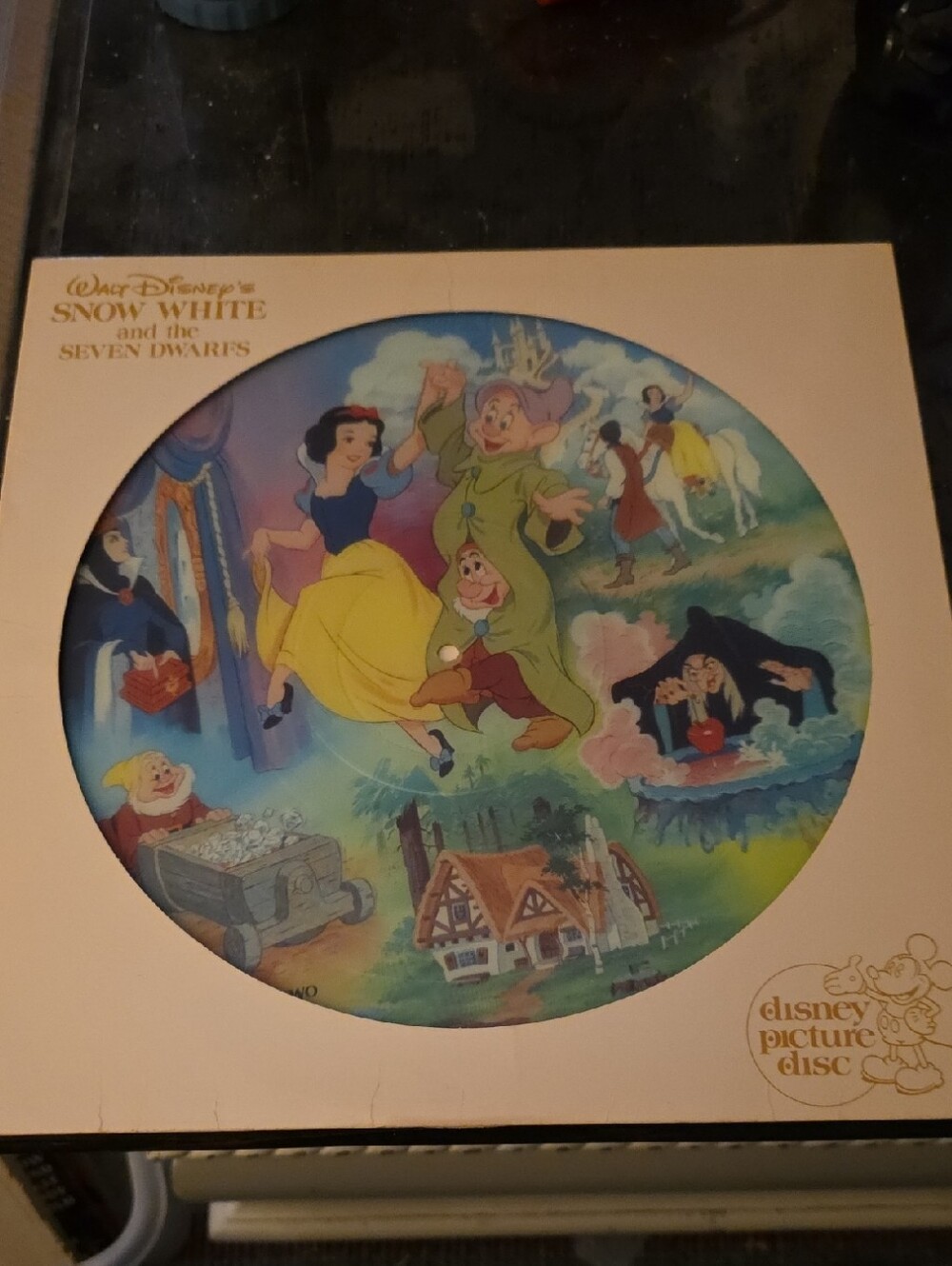 Disney Snow White and the Seven Dwarfs Collectors Vinyl Record #3101